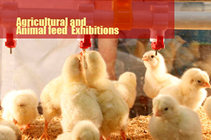 Compound animal feed producers and agricultural equipment manufacturers are welcome to take part in exhibitions in Russia and abroad 
