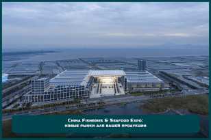 Станьте экспонентом China Fisheries & Seafood Expo и откройте новые рынки для вашей продукции 