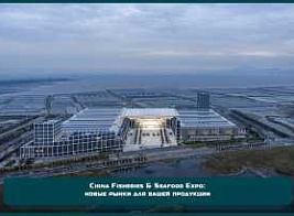Станьте экспонентом China Fisheries & Seafood Expo и откройте новые рынки для вашей продукции 