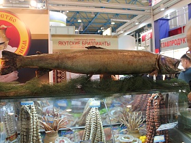 PRODEXPO 2015, International Exhibition for Food, Beverages and food raw materials, took place at Expocentre in Moscow